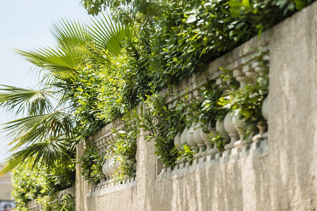 Les Jardins De La Mer Grimaud Dış mekan fotoğraf